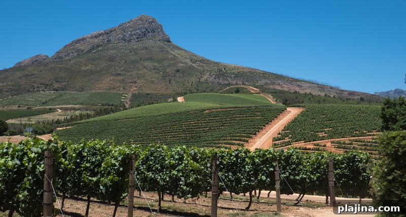 Delaire Graff Estate & Winery