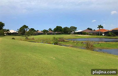 Hole 8 – Sawgrass