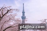 7 Most Expensive Views Around the World: Where They Are and Why 3 img 101806 10