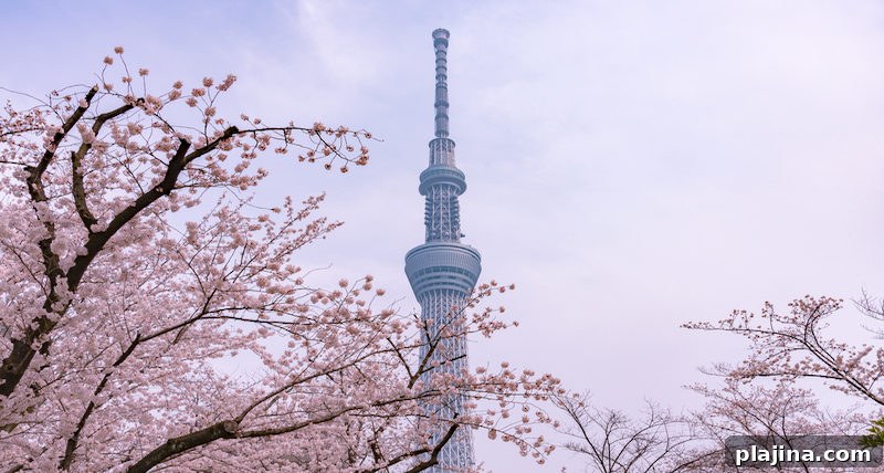 Tokyo Skytree