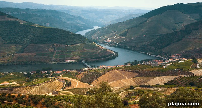 Douro Valley