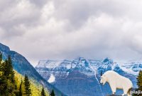 Top Scenic Viewpoints in Canada: 7 Must-Visit Lookouts