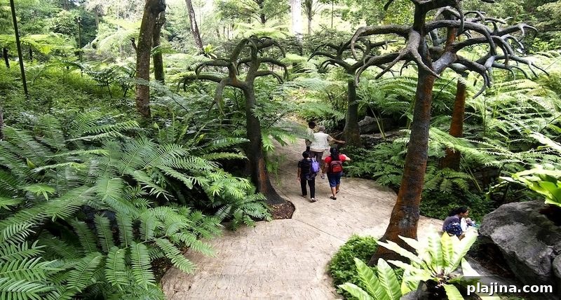 Singapore Botanic Gardens
