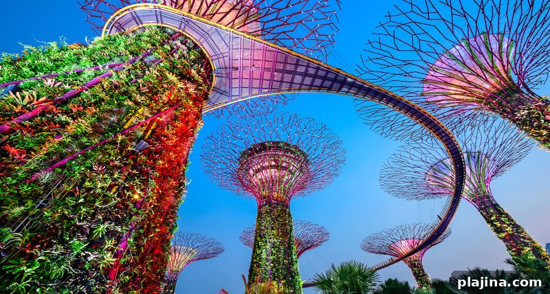 Gardens by the Bay