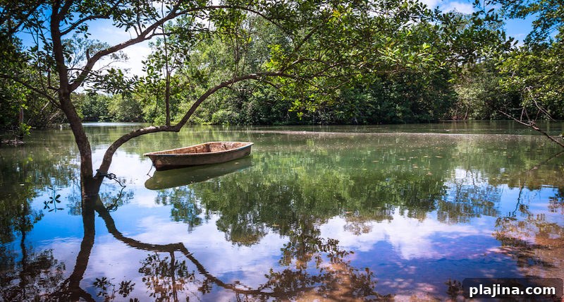 Pulau Ubin
