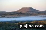 img 103981 14