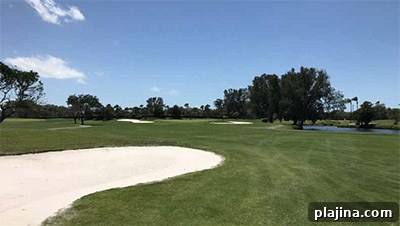 img 104873 1