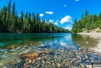 Top Wildlife Travel Destinations: 7 Incredible Places to See Animals