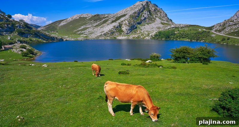 Enol lake