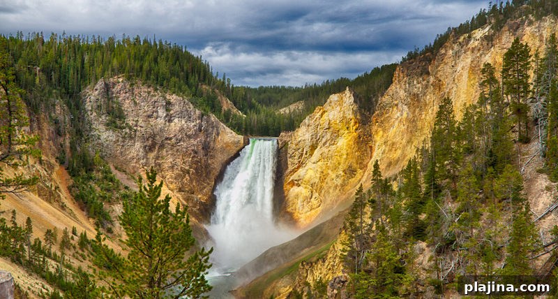 Yellowstone