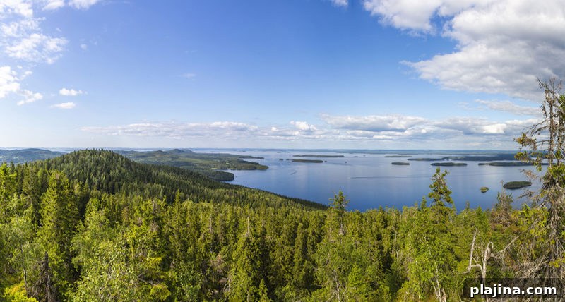 Panorama of Koli