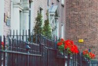 Vegan Tea Rooms in Dublin: Top Spots for Plant-Based Afternoon Tea