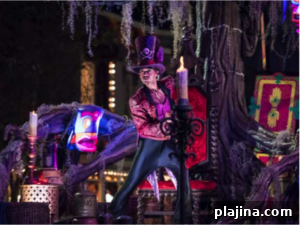 img 107441 2