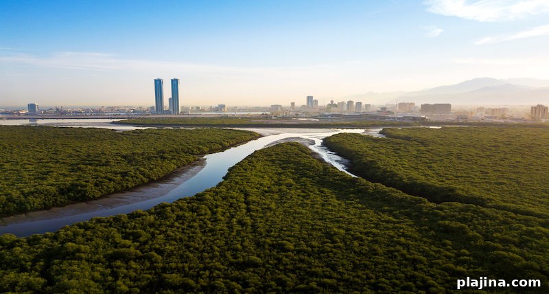 Ras al Khaimah