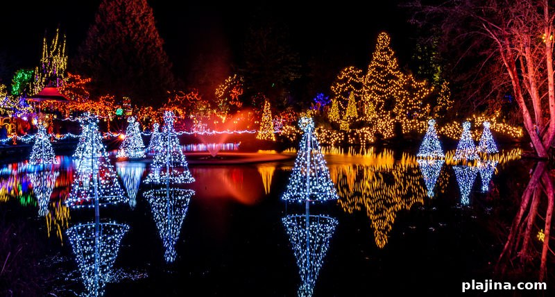 The Vancouver Festival of Lights at VanDusen Botanical Garden