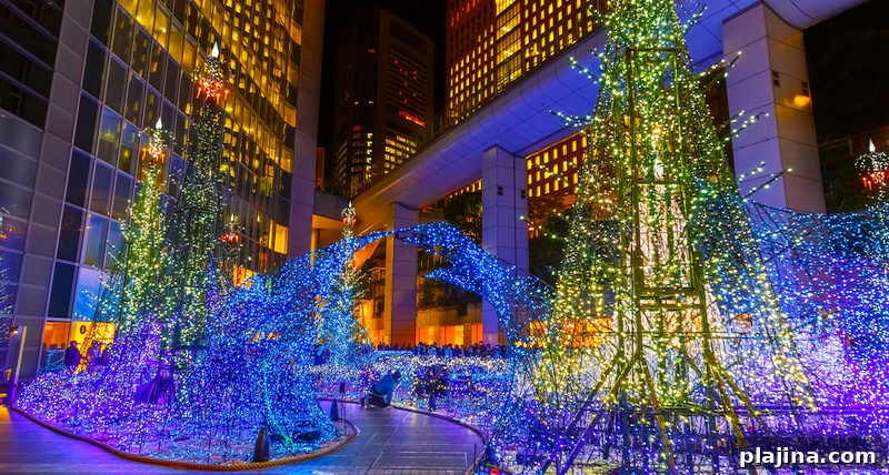 Tokyo Winter Illuminations
