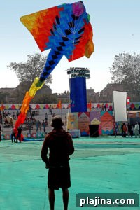 img 109853 2