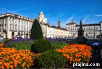 Piedmont Paradise: Ultimate Guide to Tuscany’s Neighboring Wine Region