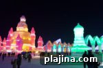 img 110562 10