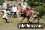 img 110562 13