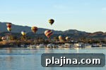 img 110562 9