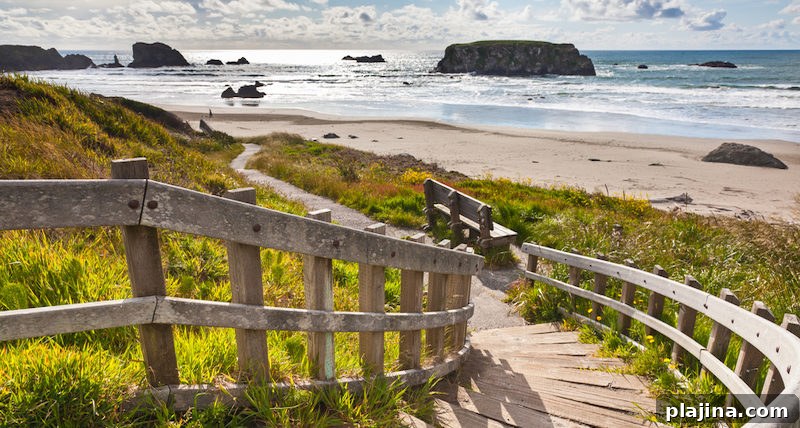 Bandon Beach, Oregon, USA