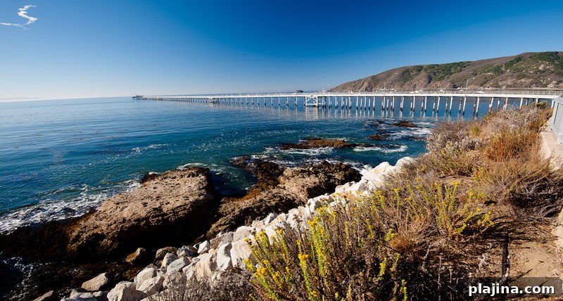 West Coast