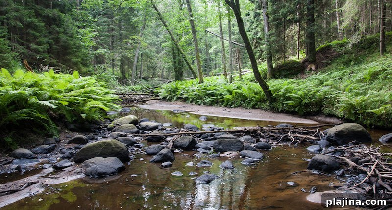 Lahemaa National Park