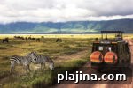 7 Reasons to Return to Africa for an Unforgettable Safari Trip 4 thumb 3