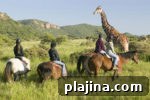 7 Reasons to Return to Africa for an Unforgettable Safari Trip 7 thumb 6