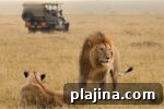 7 Reasons to Return to Africa for an Unforgettable Safari Trip 8 thumb 7