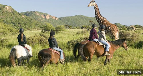 horseback safari