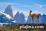 7 Reasons to Return to Patagonia — Why Travelers Are Excited 3 thumb2