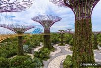 Singapore’s Growth Accelerates: What’s Driving the City-State Now