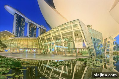 View of water lilies under ArtScience Museum and Singapore skyscrapers in the background