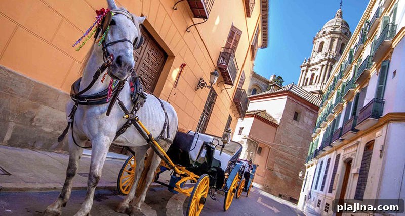 horse-drawn carriage