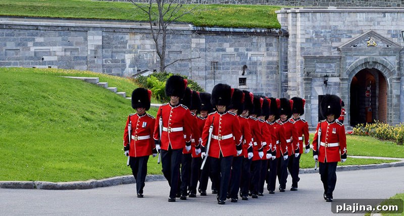 The Citadelle