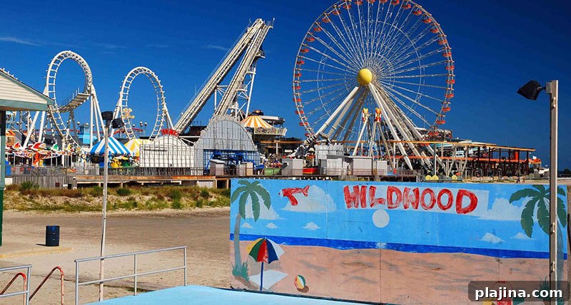 Wildwood