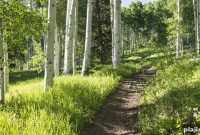 6 Reasons to Return to Travel: Vail, Colorado Awaits