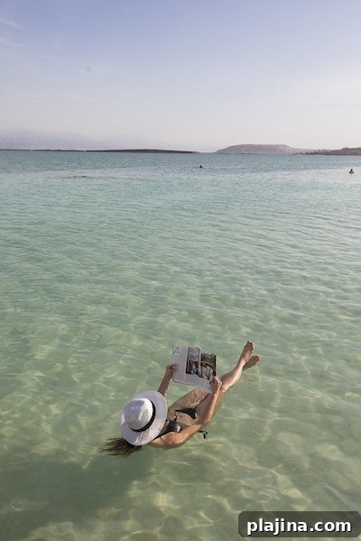 img 117395 1