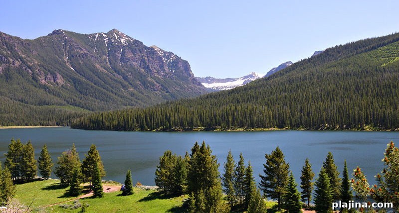 Gallatin National Forest