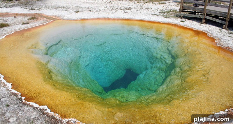 Yellowstone National Park access from Bozeman