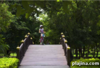 Work and Play in Bangkok: Ultimate Guide to Blending Remote Work and City Life