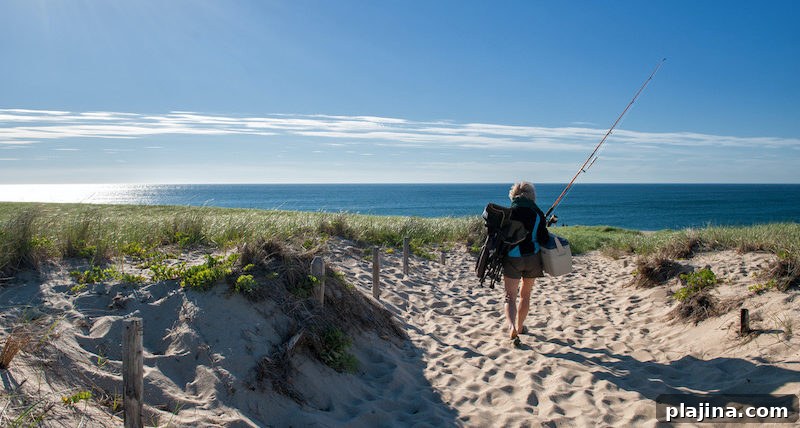 Race Point Beach, Cape Cod