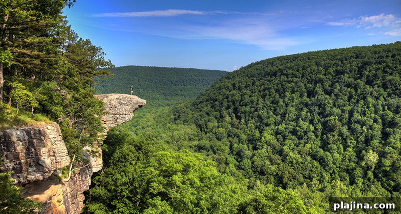 Whitaker’s Point Trail viewpoint