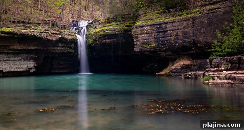 Dogwood Canyon Nature Park