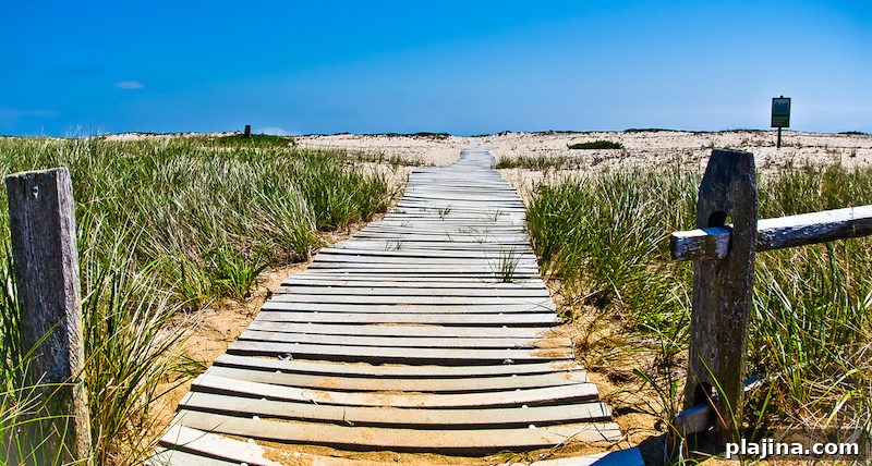 Cape Poge Wildlife Refuge