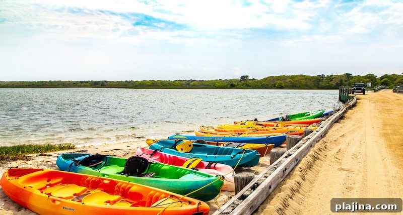 Chappaquiddick, Martha's Vineyard