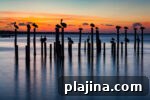 6 Reasons to Return to Travel: Discover Destin, Florida 7 img 118954 12