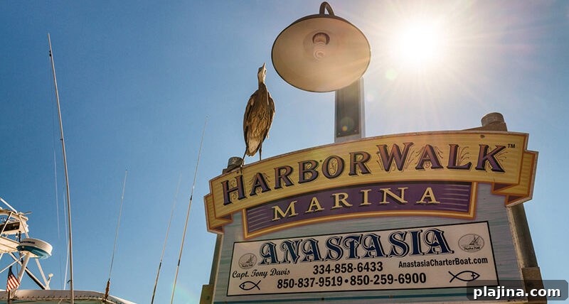 Harborwalk Marina